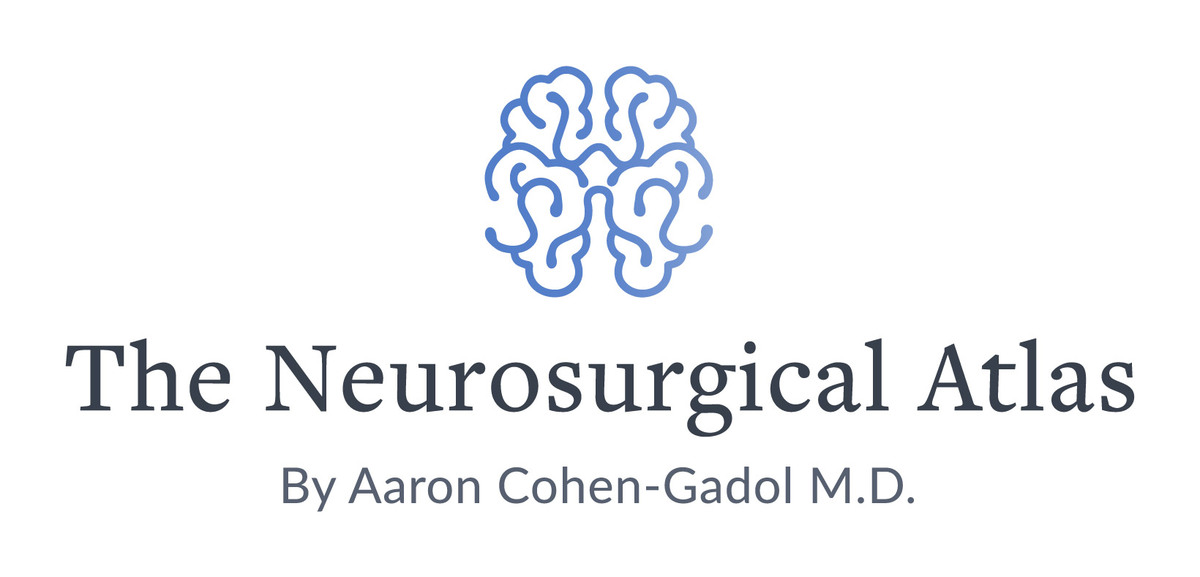 Neurosurgical Atlas